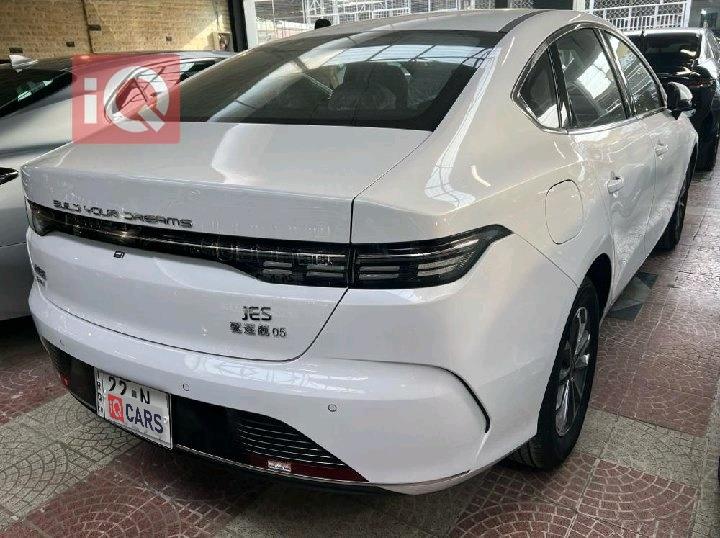 BYD Destroyer 05